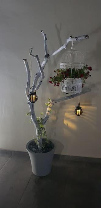 E&G Relax Homes-E Kissamos Bagian luar foto